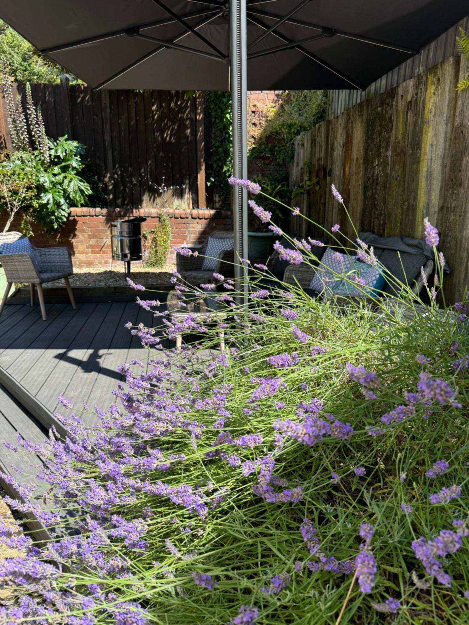 Monty Cottage, Coastal Boutique House Holiday home Exmouth